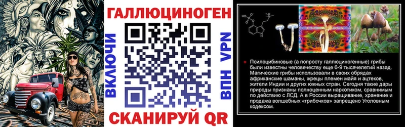 как найти   Вяземский  Галлюциногенные грибы GOLDEN TEACHER 